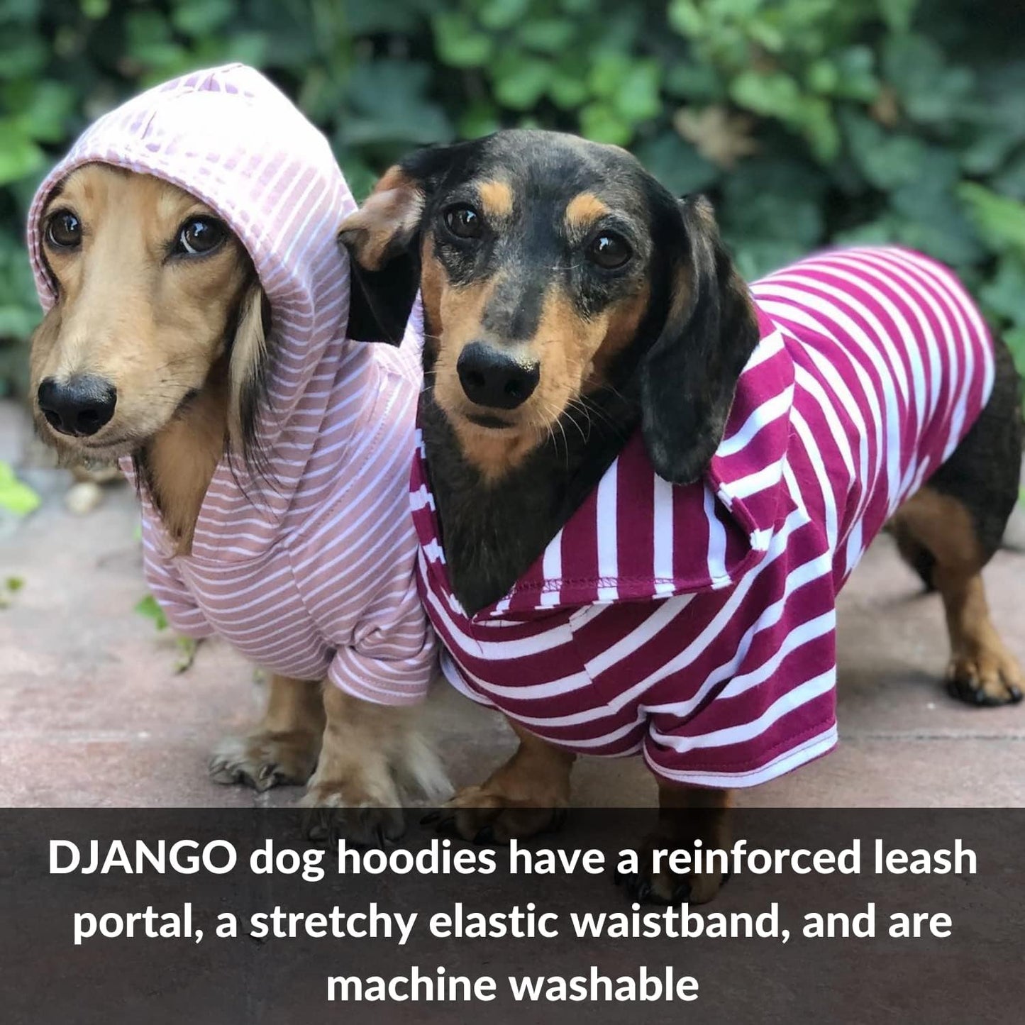 Dog Hoodie and Super Soft and Stretchy Sweater with Elastic Waistband and Leash Portal (Medium, Boysenberry)