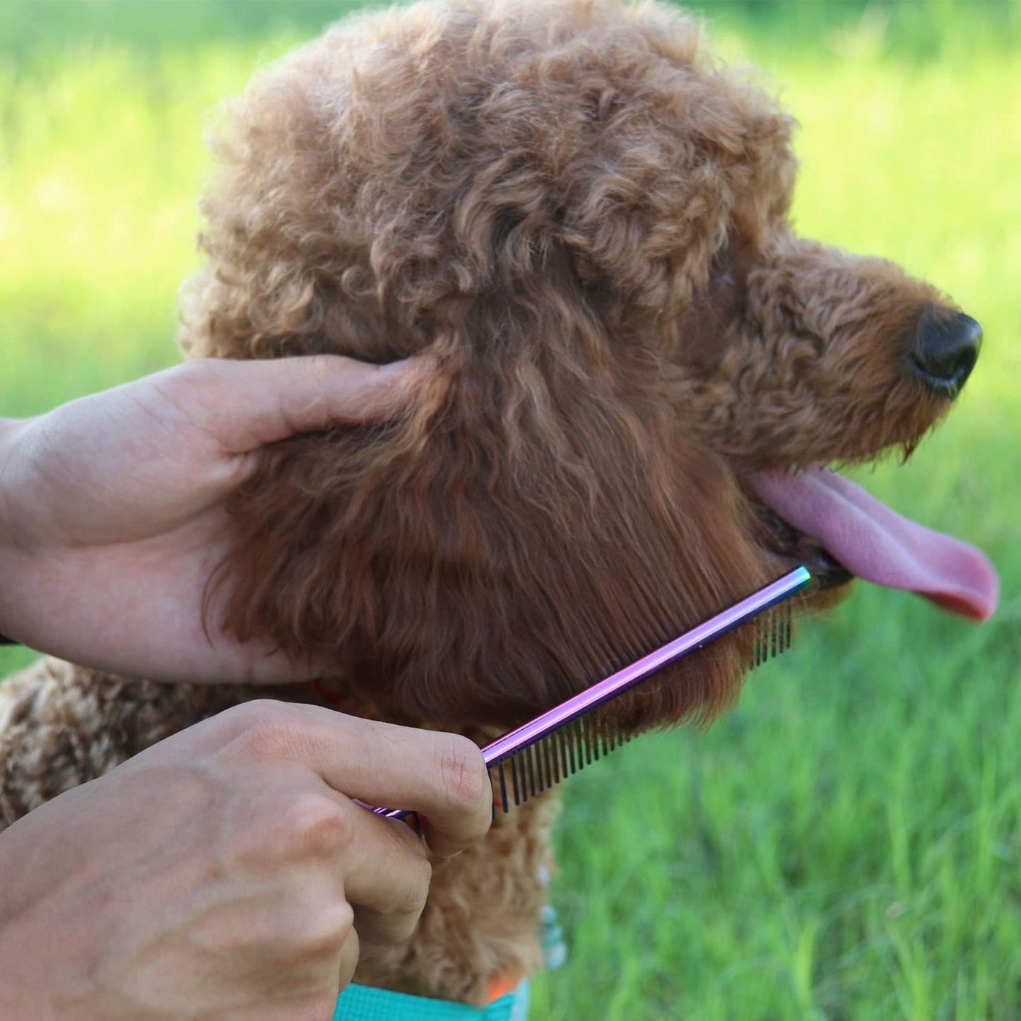 Dog Comb for Removing Matted Fur - Pet Dematting Comb with Rounded Teeth and Non-Slip Grip Handle - Prevents Knots and Mats for Long and Short Haired Pets (Round Handle, Colour)