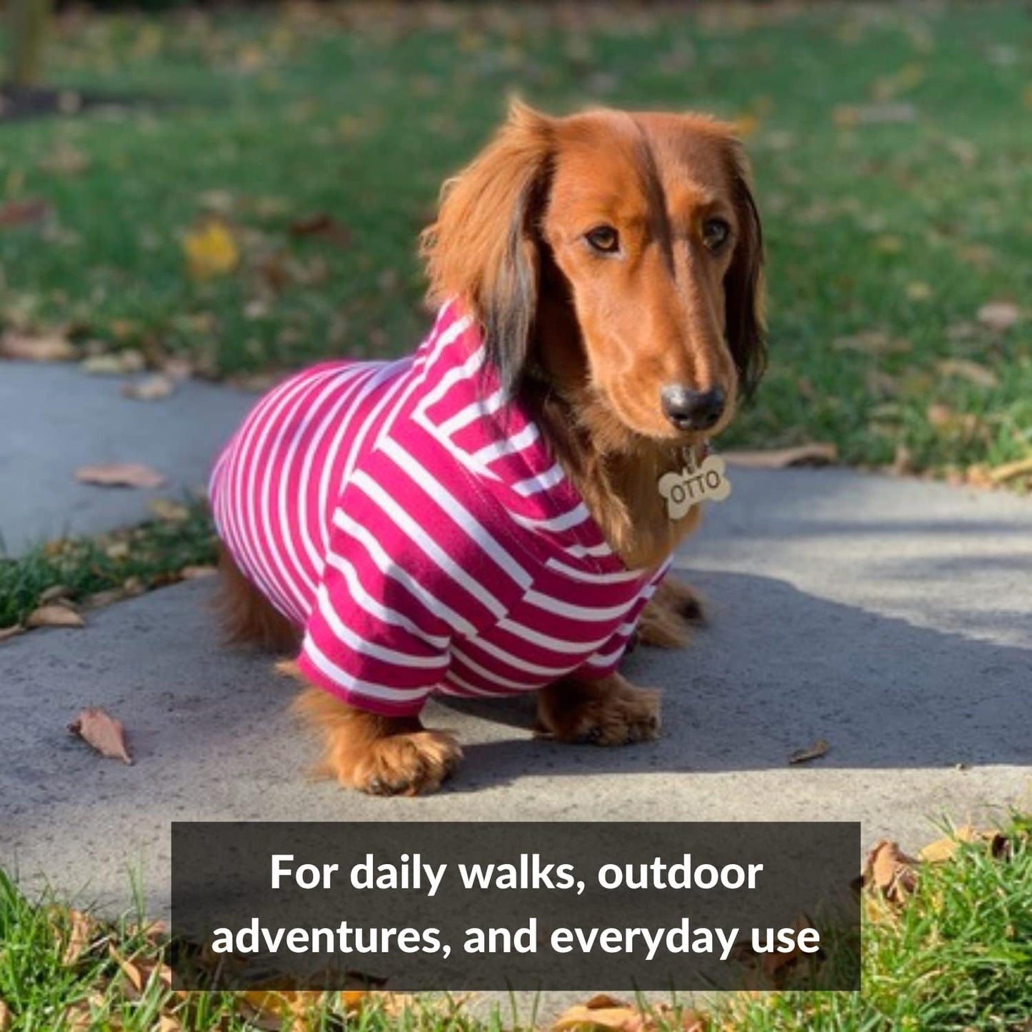 Dog Hoodie and Super Soft and Stretchy Sweater with Elastic Waistband and Leash Portal (Medium, Boysenberry)