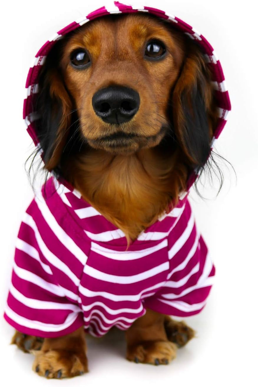 Dog Hoodie and Super Soft and Stretchy Sweater with Elastic Waistband and Leash Portal (Medium, Boysenberry)